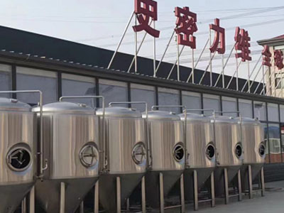 平罗精酿啤酒设备厂—市场规模与跨界新需求